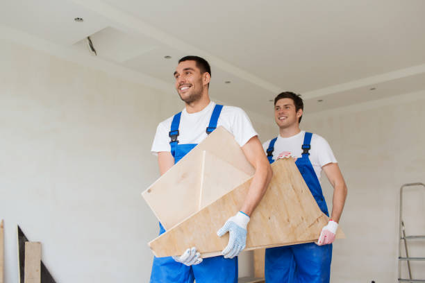 Best Basement Cleanout  in Lakeland, MN